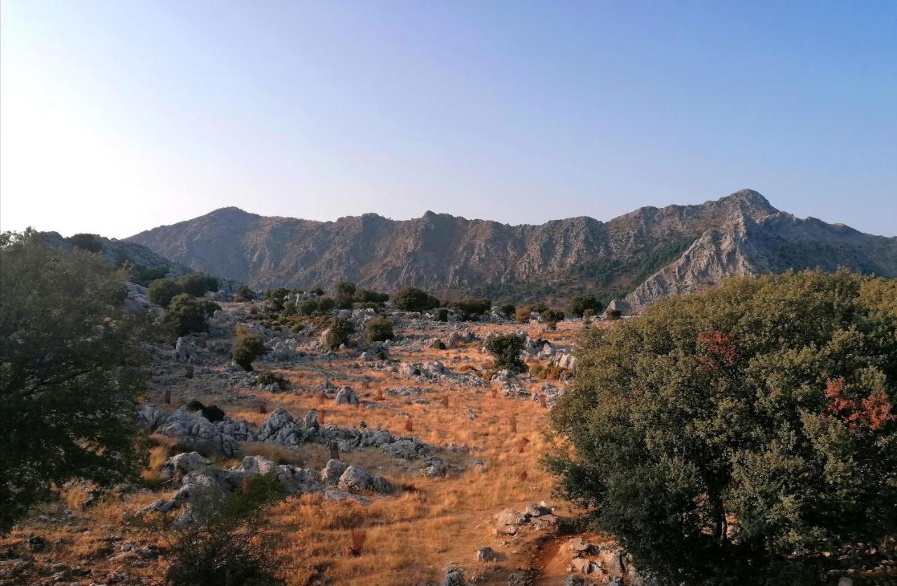Casas Las Piedras De Agua Grazalema Bagian luar foto